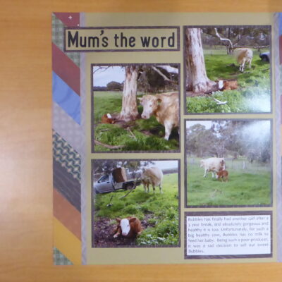 Use up scraps image 1