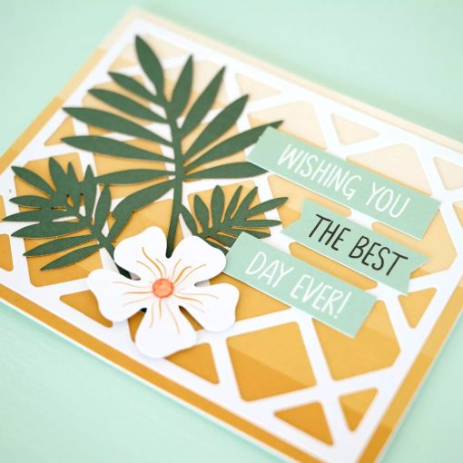 Tropic Time card kit - Image 2