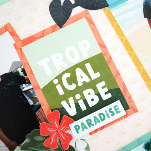 Tropic Time Variety Mat Pack (24/pk) - Image 3
