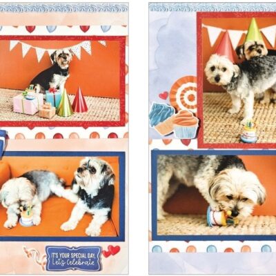 Birthday Jubilee Project Recipe