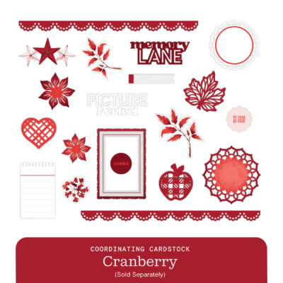 Vivid Melodies 2 Embellishments- Cranberry